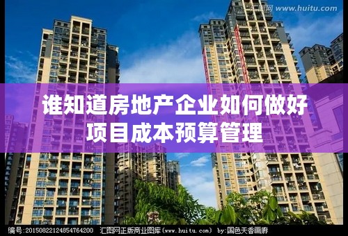 谁知道房地产企业如何做好项目成本预算管理