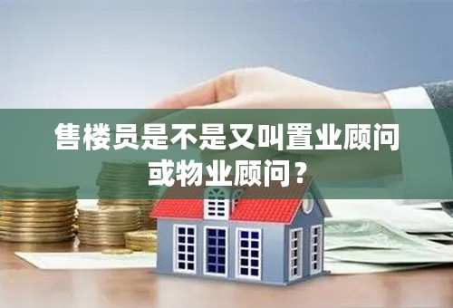 售楼员是不是又叫置业顾问或物业顾问？