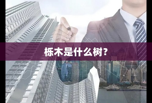栎木是什么树？