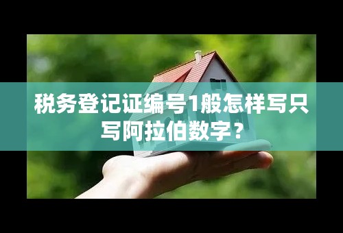 税务登记证编号1般怎样写只写阿拉伯数字？