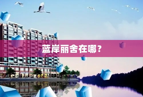 蓝岸丽舍在哪？
