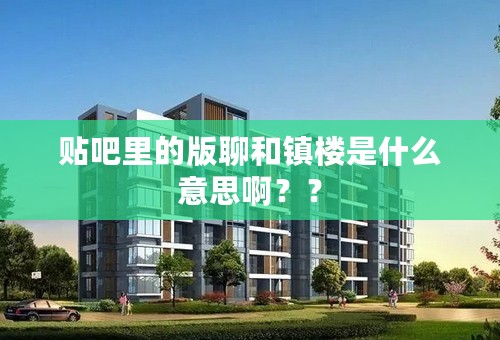贴吧里的版聊和镇楼是什么意思啊？？