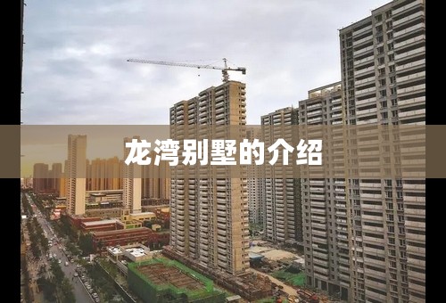 龙湾别墅的介绍