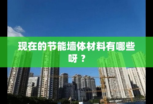 现在的节能墙体材料有哪些呀 ？