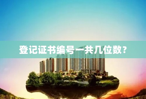 登记证书编号一共几位数？