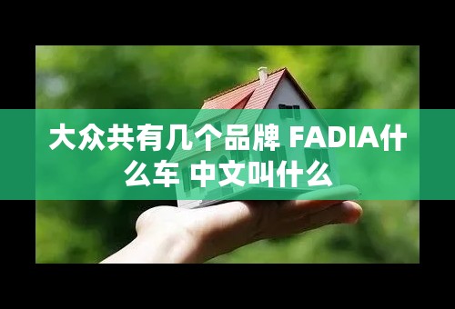 大众共有几个品牌 FADIA什么车 中文叫什么
