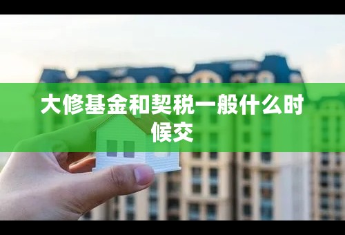 大修基金和契税一般什么时候交