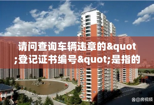 请问查询车辆违章的"登记证书编号"是指的的什么号?