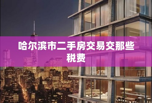 哈尔滨市二手房交易交那些税费