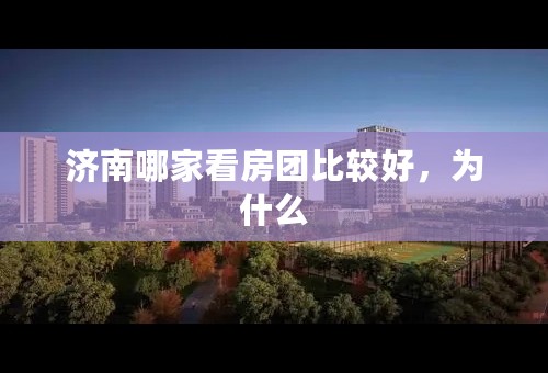 济南哪家看房团比较好，为什么