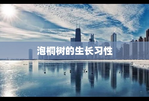 泡桐树的生长习性