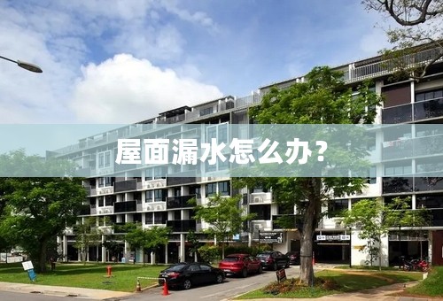 屋面漏水怎么办？