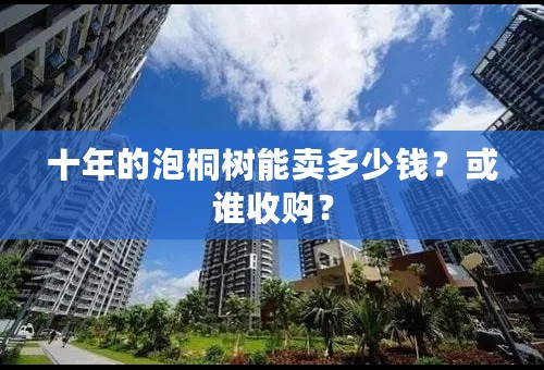 十年的泡桐树能卖多少钱？或谁收购？