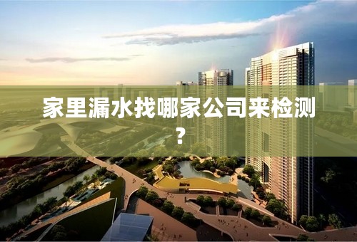 家里漏水找哪家公司来检测？