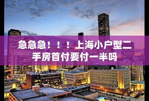 急急急！！！上海小户型二手房首付要付一半吗