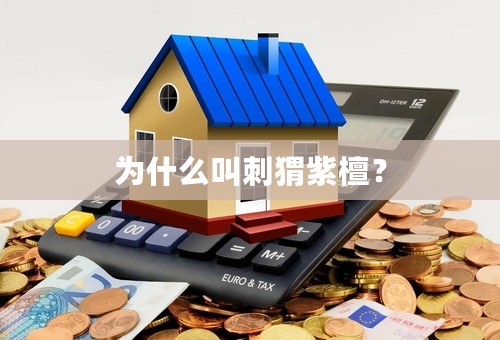 为什么叫刺猬紫檀？