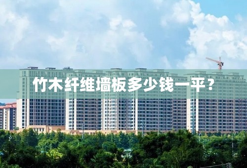 竹木纤维墙板多少钱一平？