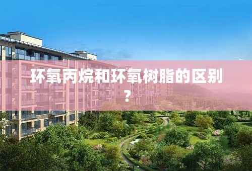环氧丙烷和环氧树脂的区别？