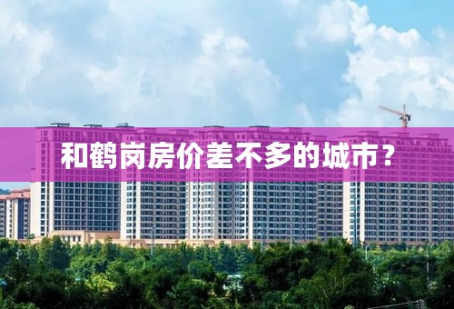 和鹤岗房价差不多的城市？