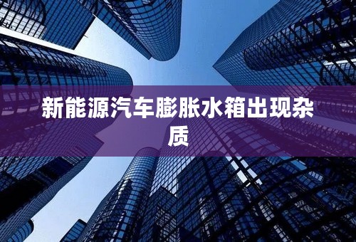新能源汽车膨胀水箱出现杂质