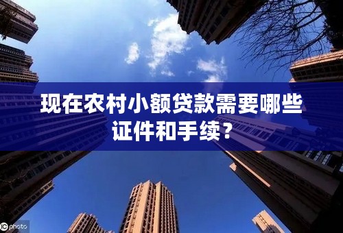 现在农村小额贷款需要哪些证件和手续？
