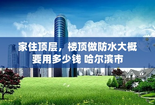 家住顶层，楼顶做防水大概要用多少钱 哈尔滨市