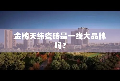 金牌天纬瓷砖是一线大品牌吗？