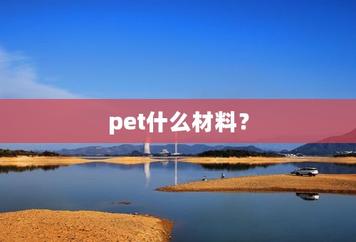 pet什么材料？