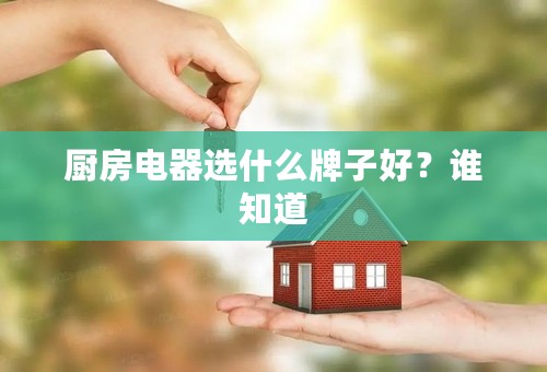 厨房电器选什么牌子好？谁知道