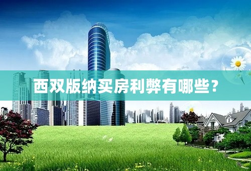 西双版纳买房利弊有哪些？