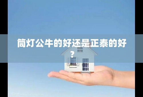 筒灯公牛的好还是正泰的好？
