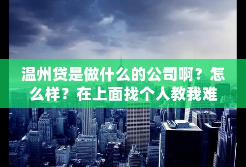 温州贷是做什么的公司啊？怎么样？在上面找个人教我难不难？