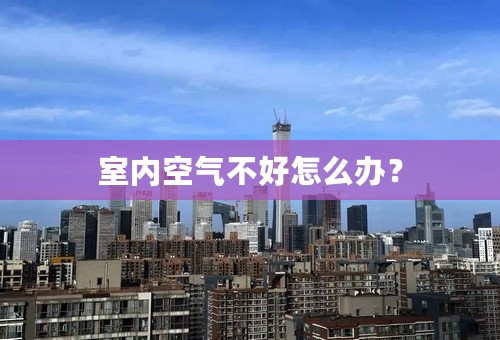 室内空气不好怎么办？