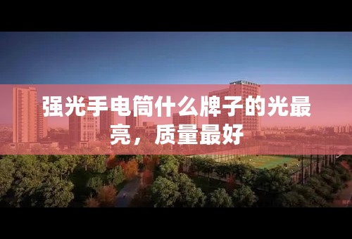 强光手电筒什么牌子的光最亮，质量最好
