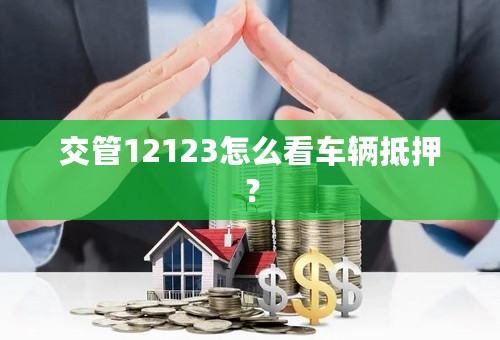 交管12123怎么看车辆抵押？