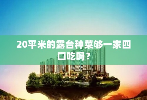 20平米的露台种菜够一家四口吃吗？