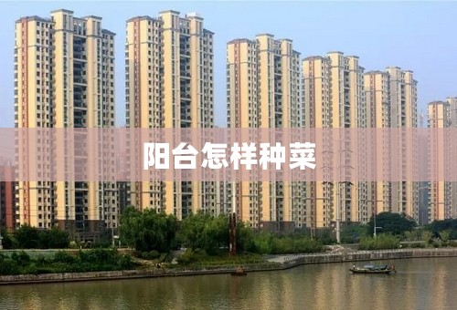 阳台怎样种菜