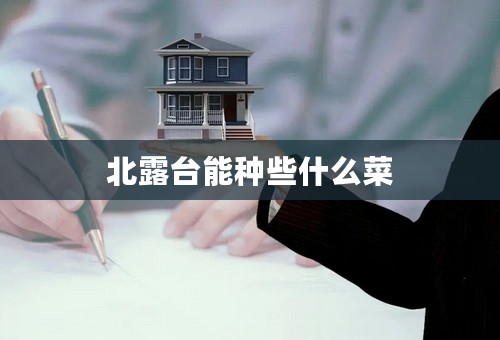 北露台能种些什么菜