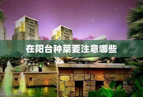 在阳台种菜要注意哪些