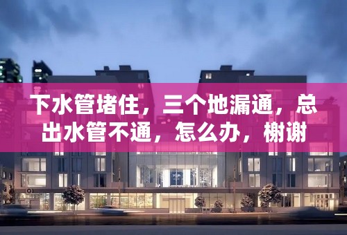 下水管堵住，三个地漏通，总出水管不通，怎么办，榭谢帮一下