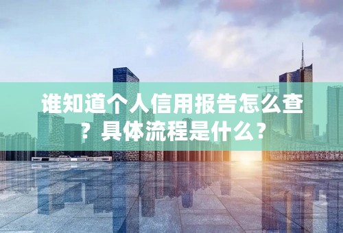 谁知道个人信用报告怎么查？具体流程是什么？