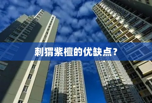 刺猬紫檀的优缺点？