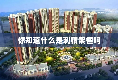 你知道什么是刺猬紫檀吗