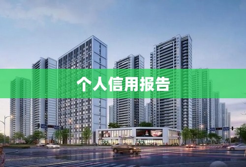 个人信用报告
