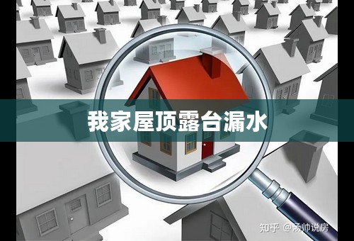 我家屋顶露台漏水