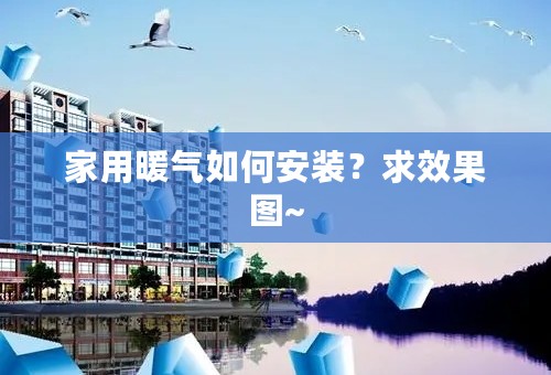 家用暖气如何安装？求效果图~