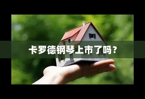 卡罗德钢琴上市了吗？