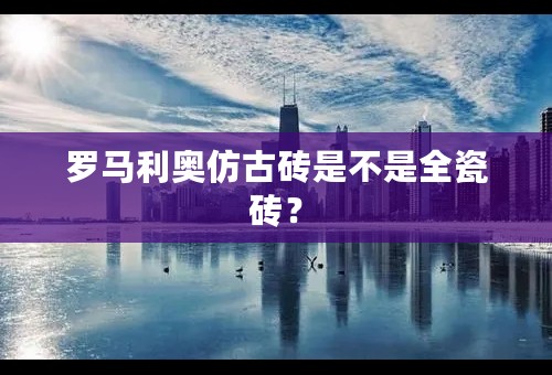罗马利奥仿古砖是不是全瓷砖？