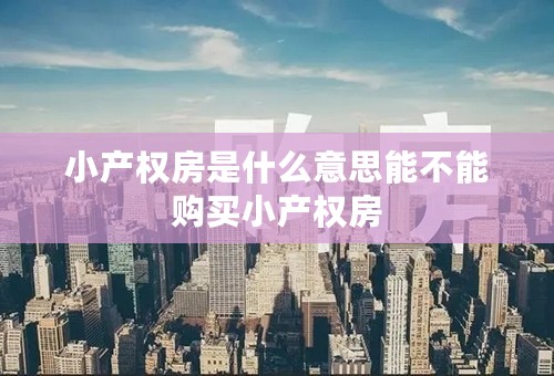 小产权房是什么意思能不能购买小产权房