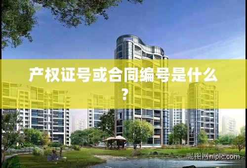 产权证号或合同编号是什么？